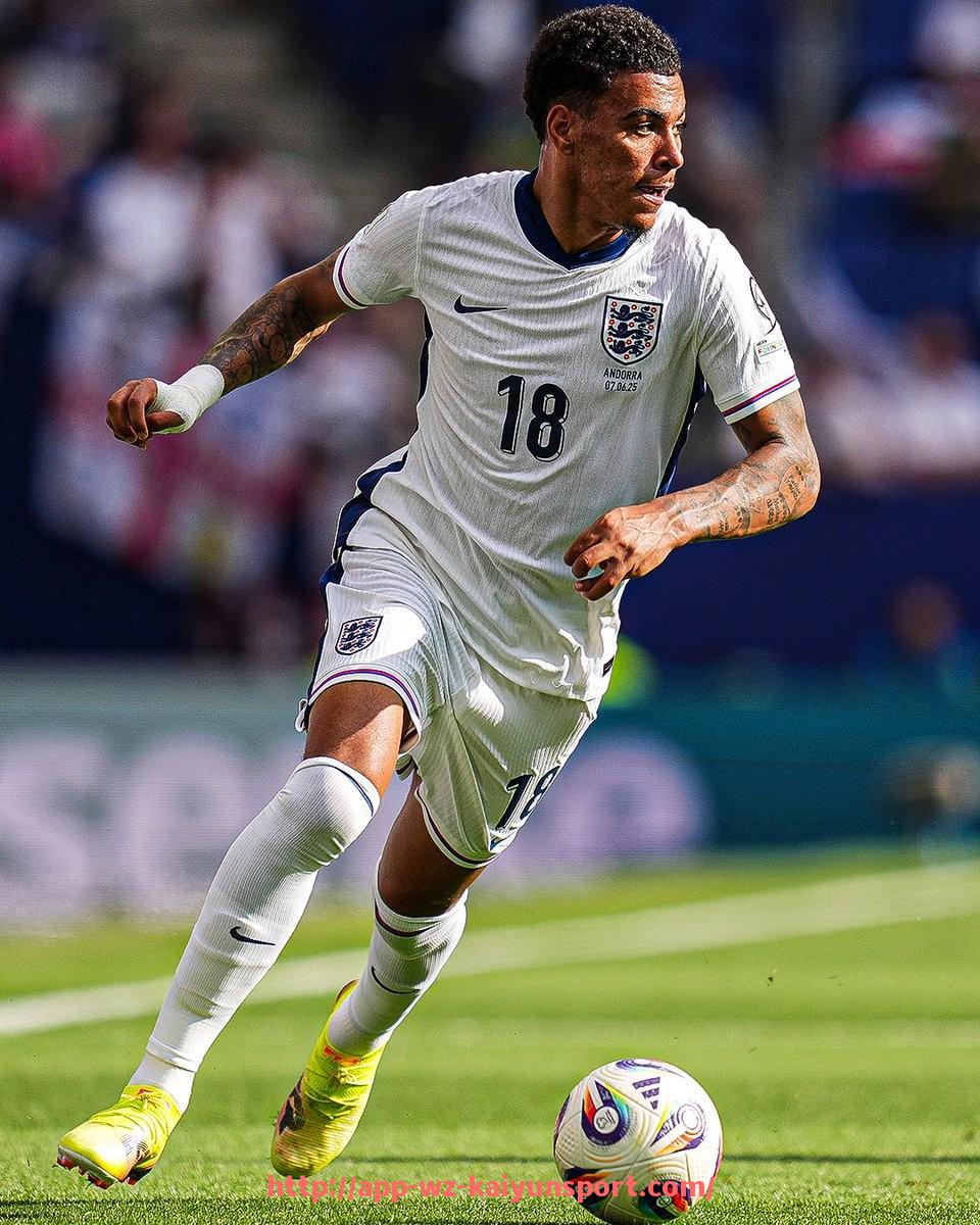 开云体育官网app下载-阿迪达斯赞助的意甲球队有哪些品牌故事